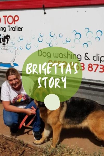 Brigetta`s Story - Red Top Grooming
